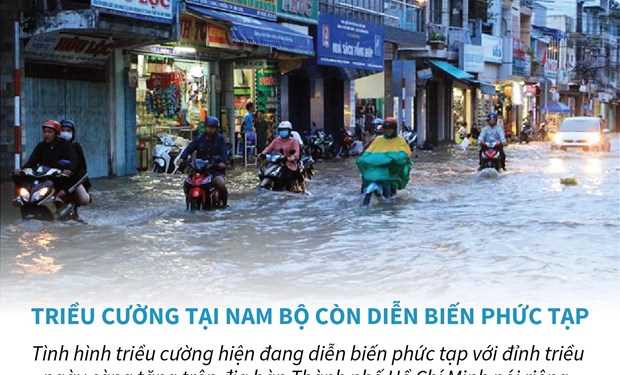 [Infographics] Triều cường tại Nam Bộ còn diễn biến phức tạp