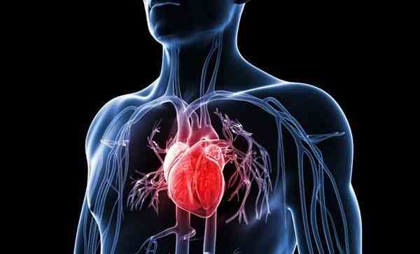 Điều trị sớm cholesterol cao giúp ngăn chặn nguy cơ bệnh tim, đột quỵ