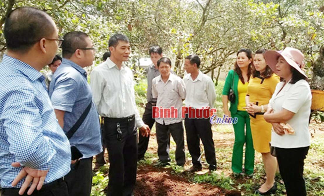 Tiếp sức hội viên nông dân