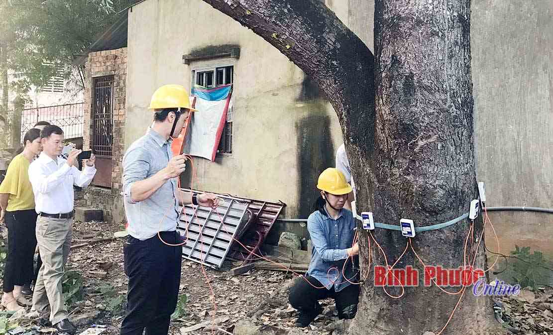 Trung tâm Khoa học và Công nghệ tỉnh ký kết hợp tác với Công ty KOFU Nhật Bản