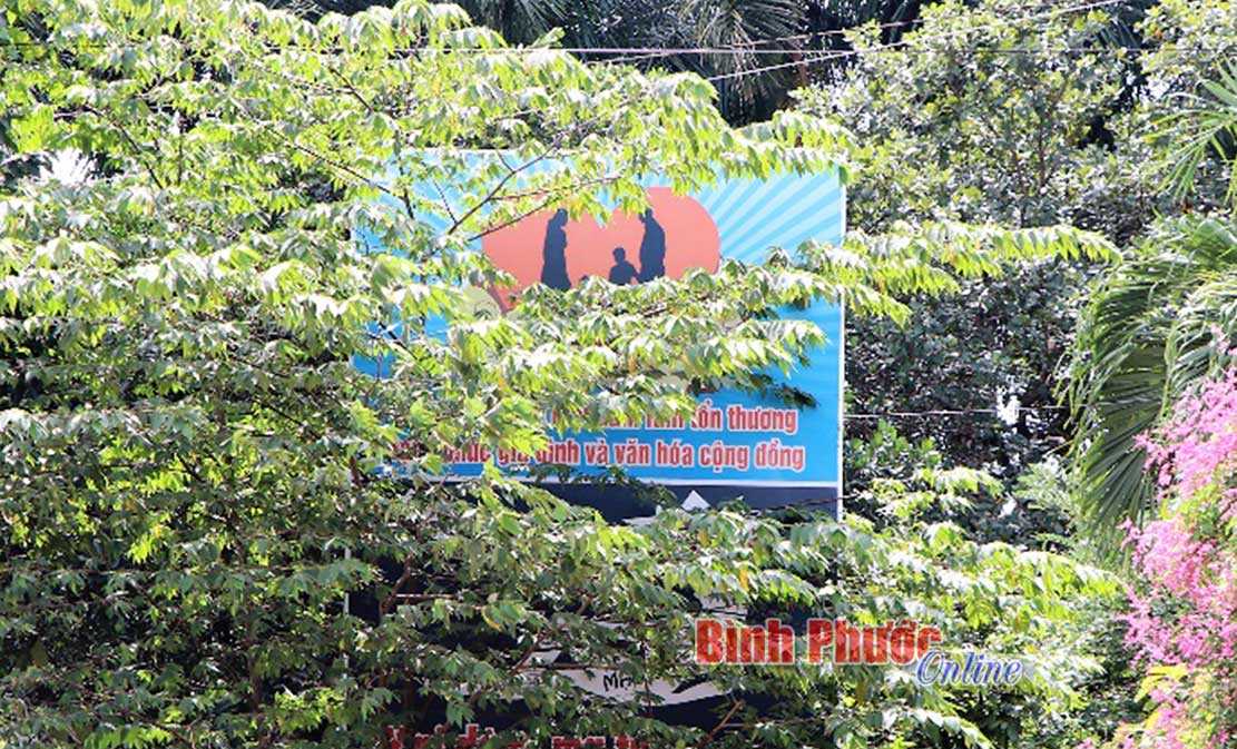 Pa-nô trong bụi cây