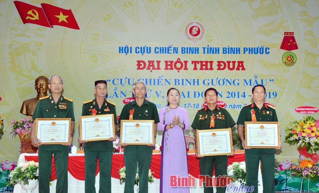 Cựu chiến binh tỉnh thi đua mừng 30 năm ngày thành lập hội