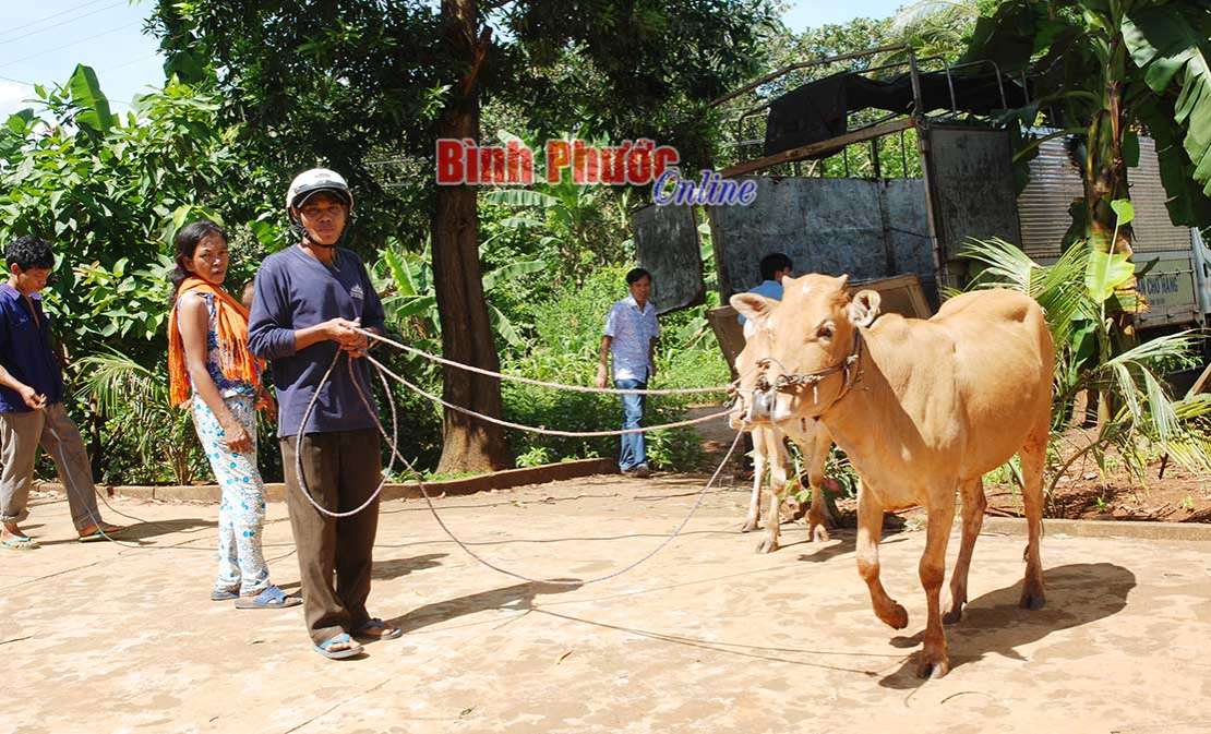 Bước chuyển ở v&ugrave;ng d&acirc;n tộc thiểu số