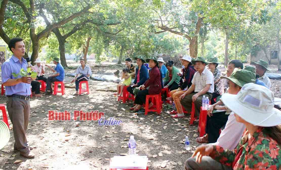 Phú Riềng tập huấn chăm sóc vườn điều