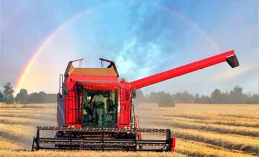 Giá các loại nông sản thế giới đồng loạt giảm trong tuần qua