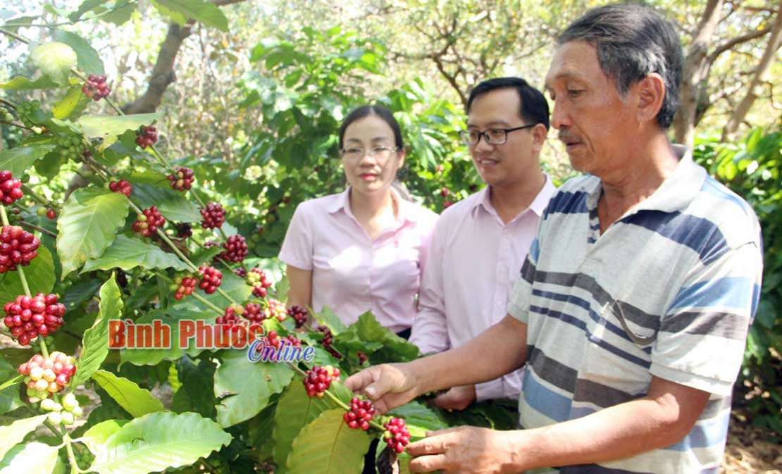 T&iacute;n dụng ch&iacute;nh s&aacute;ch x&atilde; hội - đ&ograve;n bẩy tho&aacute;t ngh&egrave;o