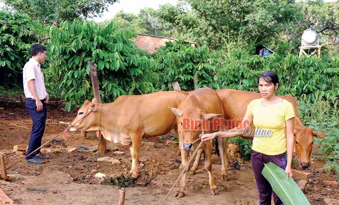 Tho&aacute;t ngh&egrave;o nhờ vốn vay ưu đ&atilde;i