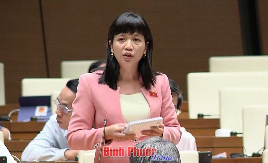 Cần bố trí đủ người để các ban của HĐND hoạt động hiệu quả