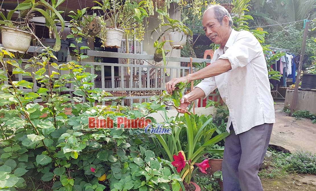 Người thương binh bắt mảnh đất đầy bom đạn nở hoa