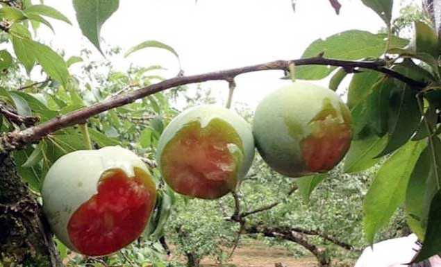 L&agrave;m kh&oacute; bản th&acirc;n từ sự n&ocirc;ng nổi?