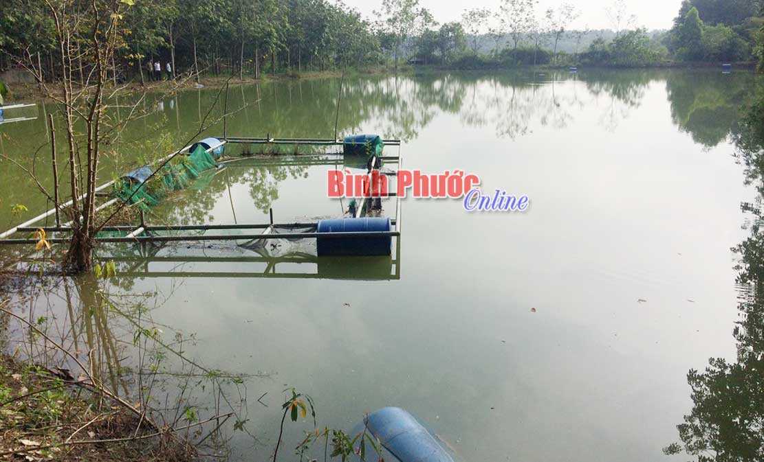 Chết đuối do đi bắt cá nhưng không biết bơi