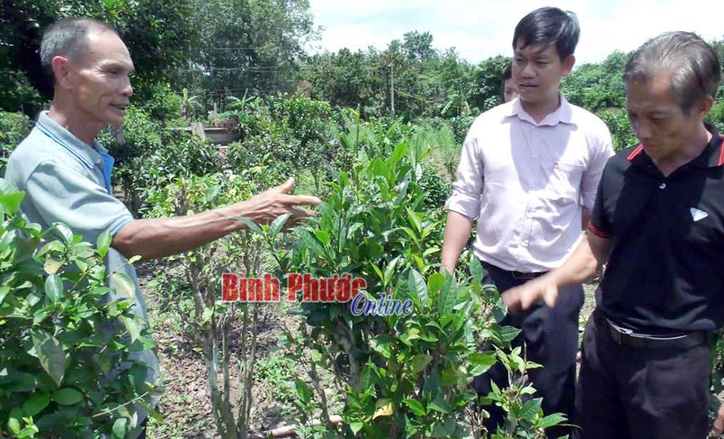 Đồng Phú đảm bảo an sinh xã hội