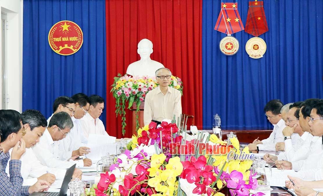 Ban Kinh tế - Ngân sách giám sát tại Cục Thuế và Hải quan tỉnh