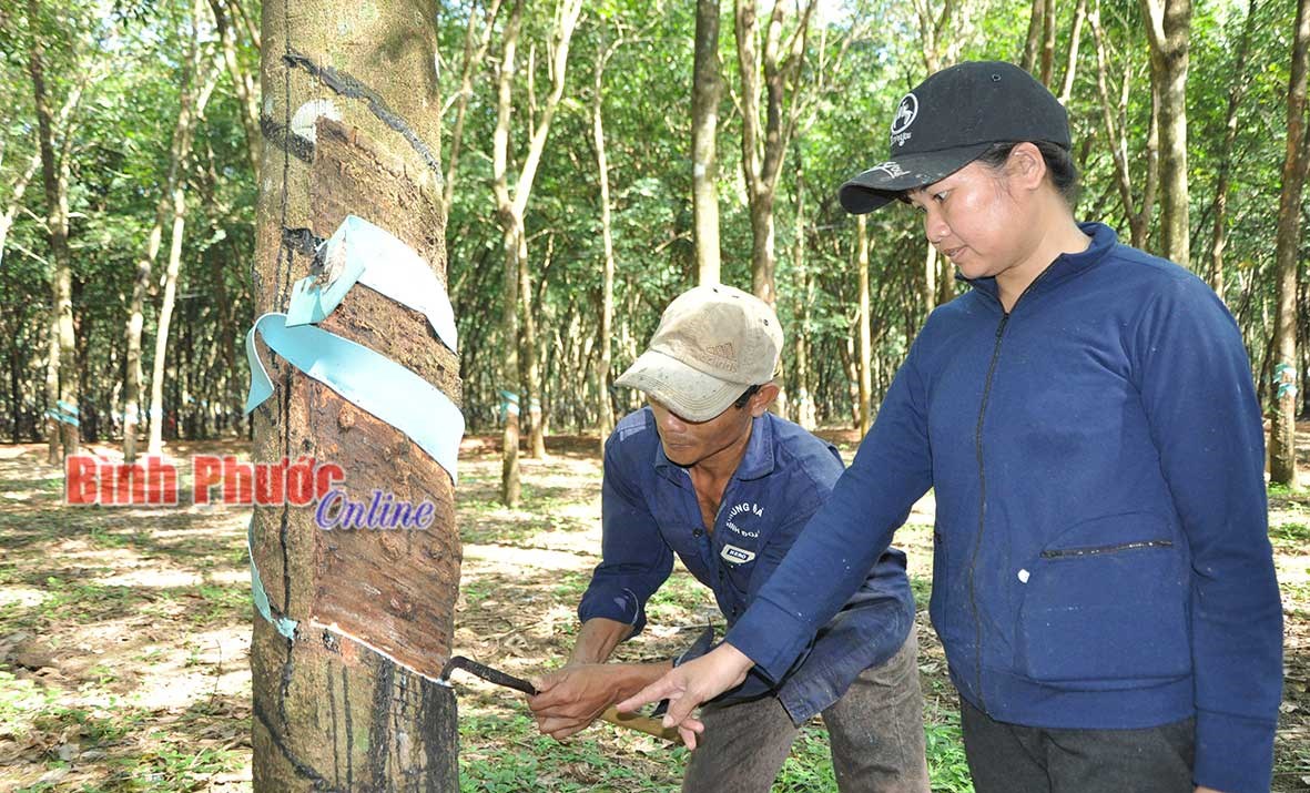 Đổi thay từ mô hình “Gắn kết hộ”