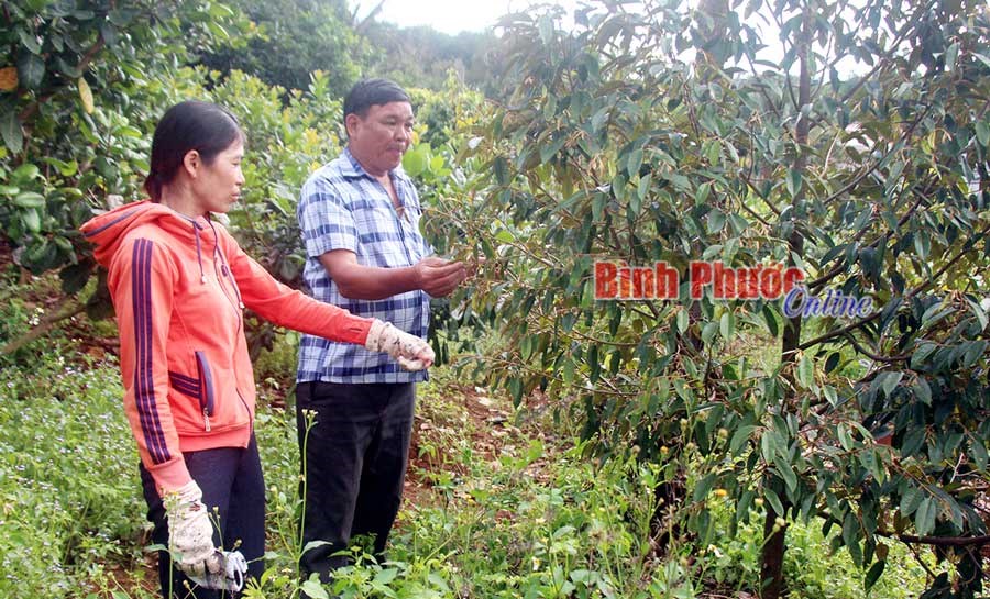 Th&ocirc;n đặc biệt kh&oacute; khăn x&acirc;y dựng n&ocirc;ng th&ocirc;n mới