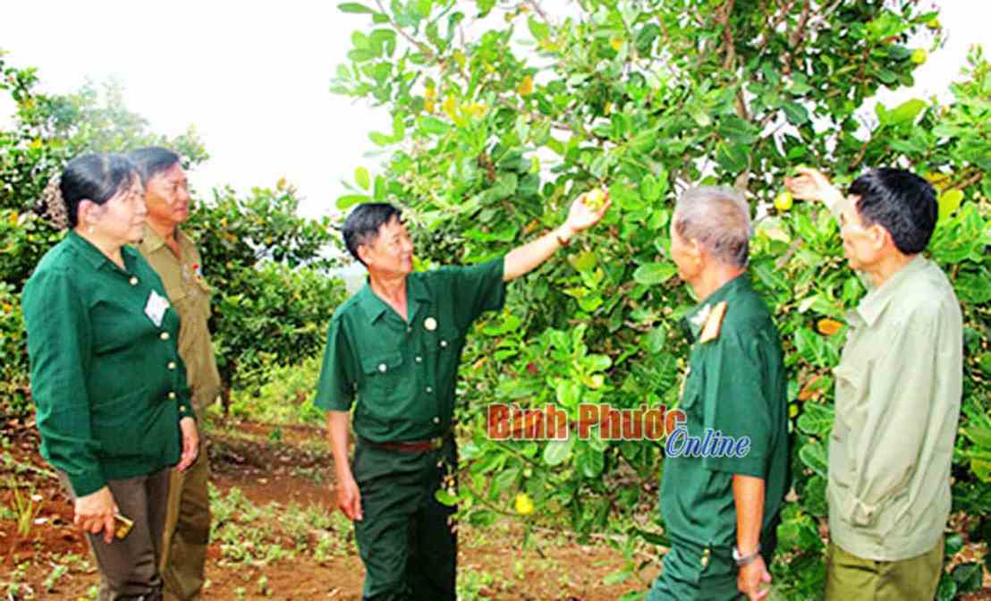 Chung sức x&acirc;y dựng hệ thống ch&iacute;nh trị ở cơ sở