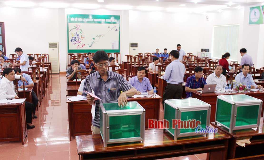 Cao su Phú Riềng đấu giá 259,13 ha cây cao su thanh lý