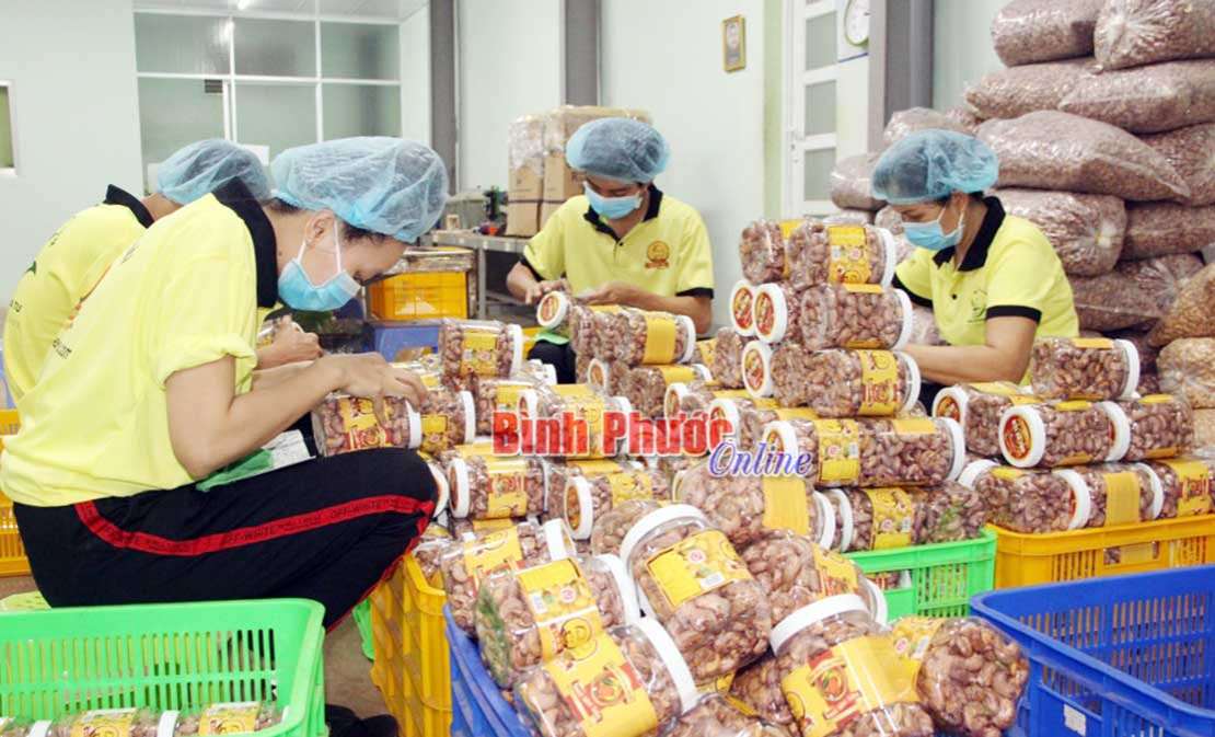 Năm 2019, xuất khẩu ngành điều đạt 3,6 tỷ USD