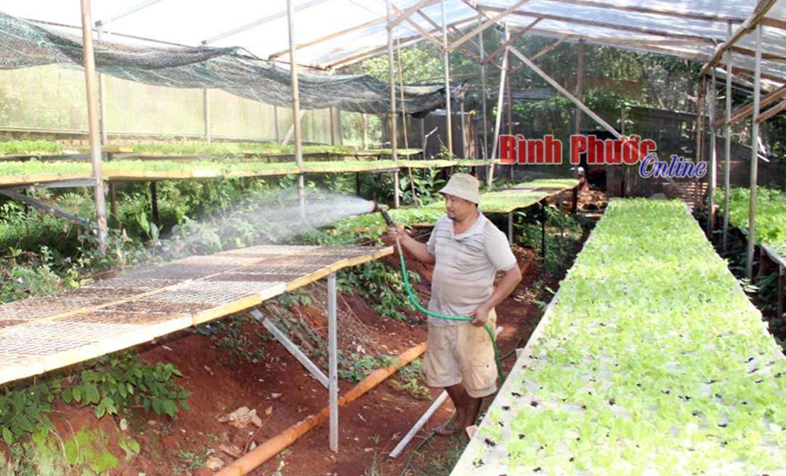 Điều kỳ diệu ở B&igrave;nh Sơn