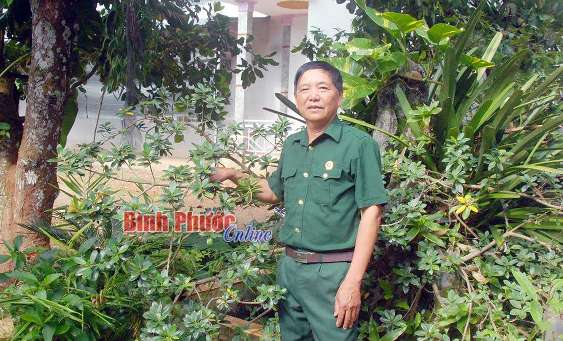 Nêu gương sáng cựu chiến binh