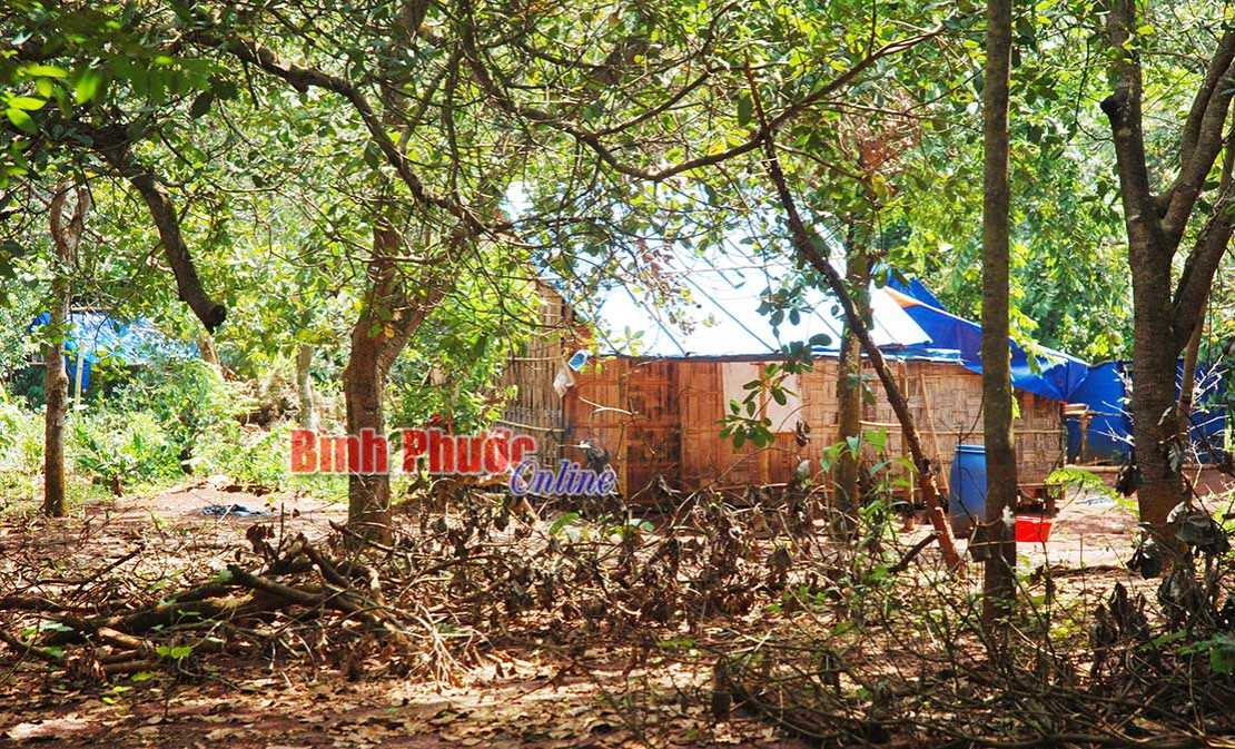 Triển khai thực hiện Nghị quyết số 09/2019/NQ-HĐND