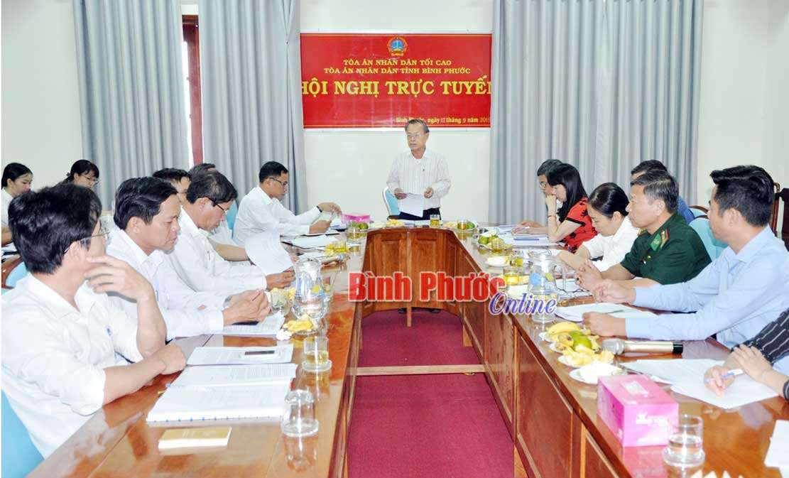 HĐND tỉnh giám sát tình hình thực thi pháp luật tại Tòa án nhân dân tỉnh và Cục Thi hành án dân sự tỉnh