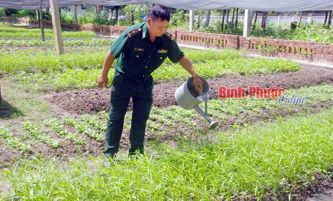 G&oacute;p sức x&acirc;y dựng v&ugrave;ng bi&ecirc;n