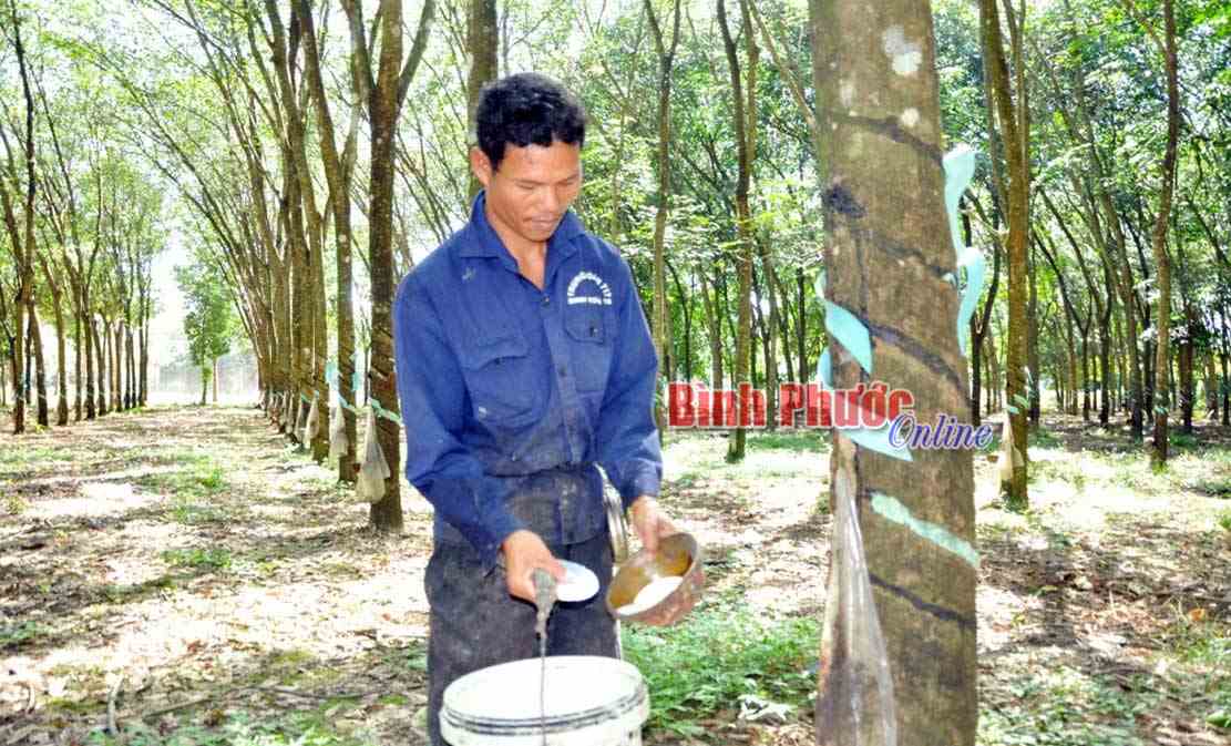 Anh Điểu Th&aacute;i kh&aacute; l&ecirc;n nhờ chịu kh&oacute; lao động