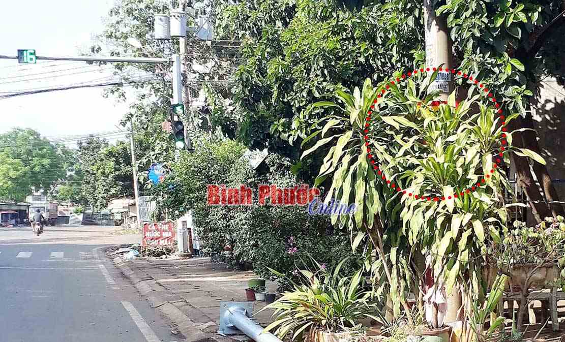 Biển báo ở đâu?