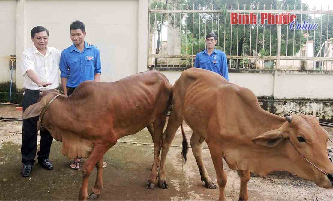 Tăng cường chăm lo đời sống thanh ni&ecirc;n DTTS