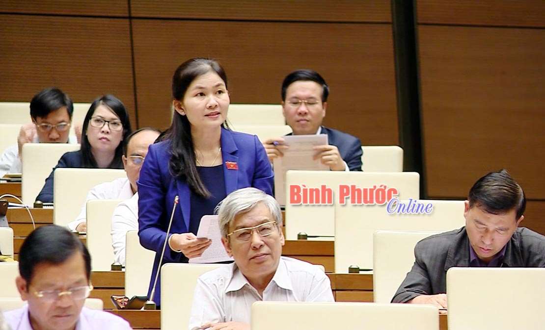 Đoàn đại biểu Quốc hội tỉnh đóng góp ý kiến vào 5 dự luật và chương trình giám sát của Quốc hội