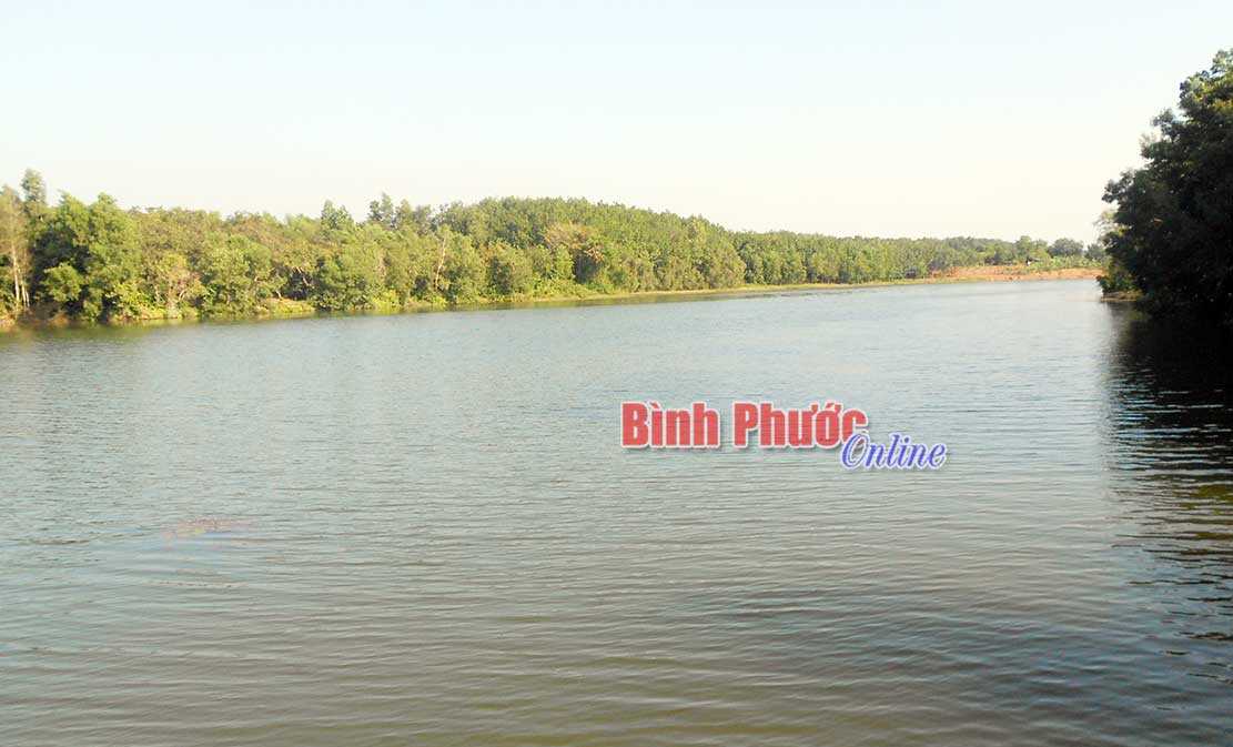 Đồng Phú: Hơn 90% diện tích đất sản xuất nông nghiệp được tưới, tiêu nước