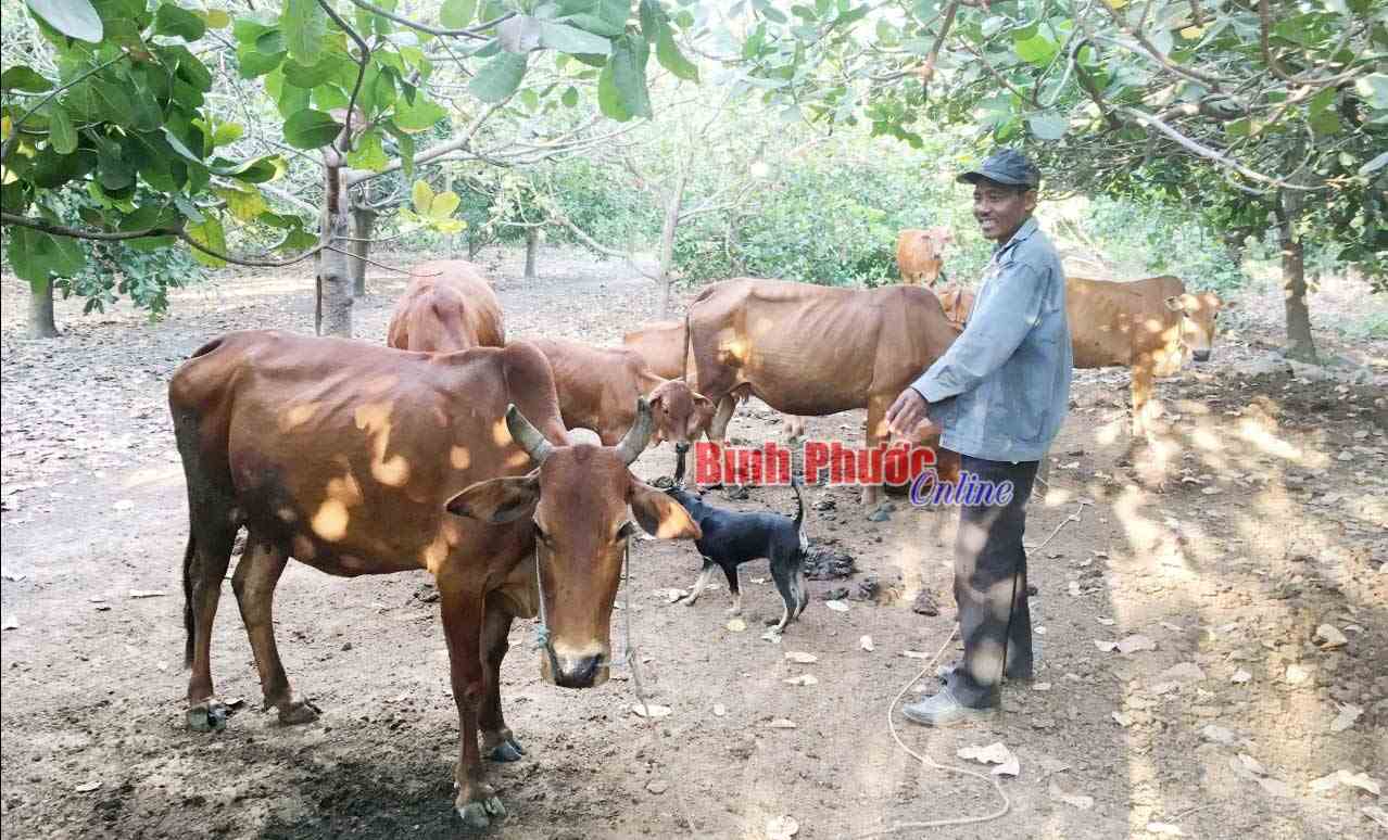 Hộ anh L&acirc;m Bưng đ&atilde; tho&aacute;t ngh&egrave;o