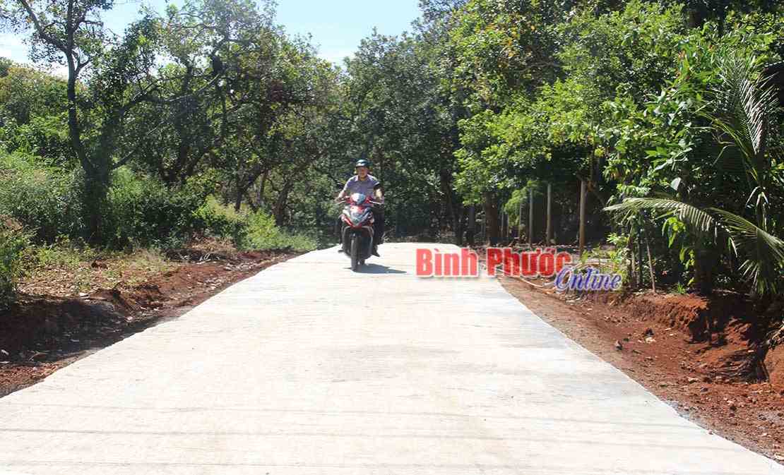 Th&ocirc;n Hai Căn được đầu tư l&agrave;m 5 tuyến đường b&ecirc; t&ocirc;ng