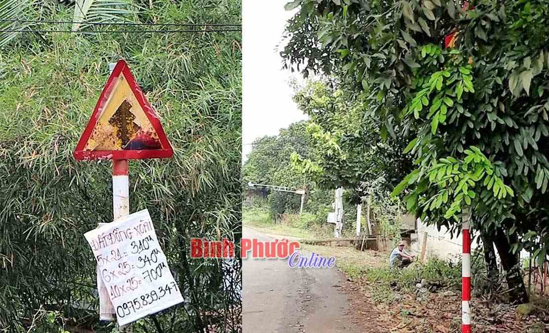 Biển báo phản cảm