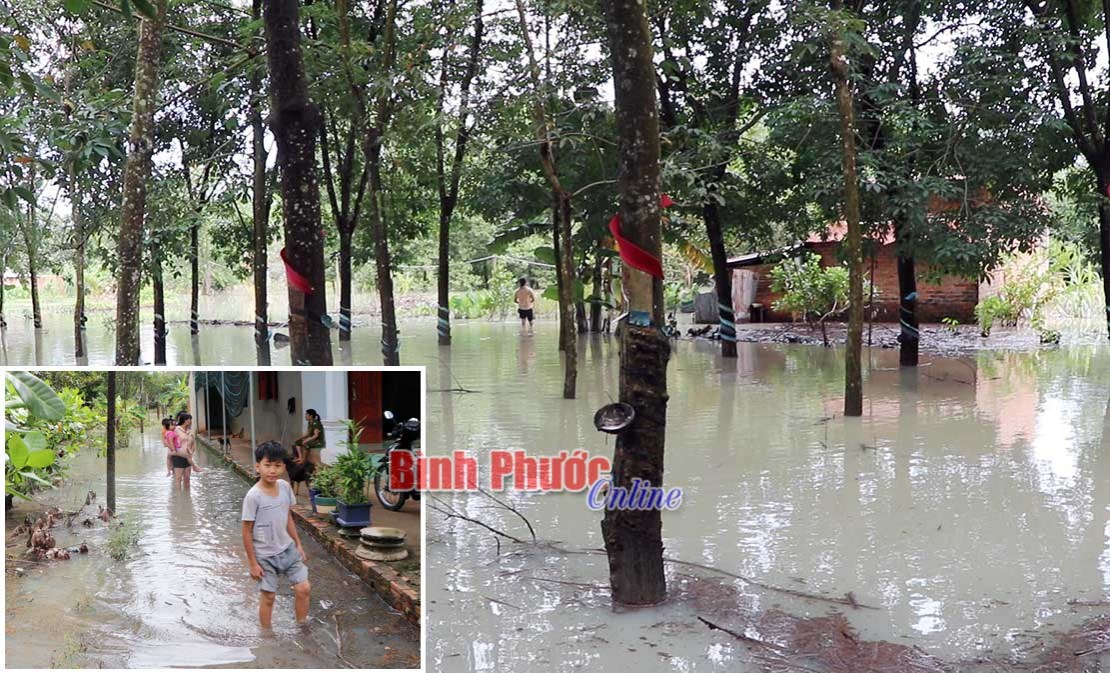 Khu dân cư ấp 7, xã Tân Thành bao giờ hết ngập?