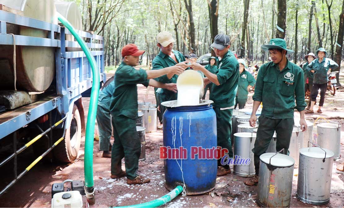 Học B&aacute;c, n&oacute;i đi đ&ocirc;i với l&agrave;m