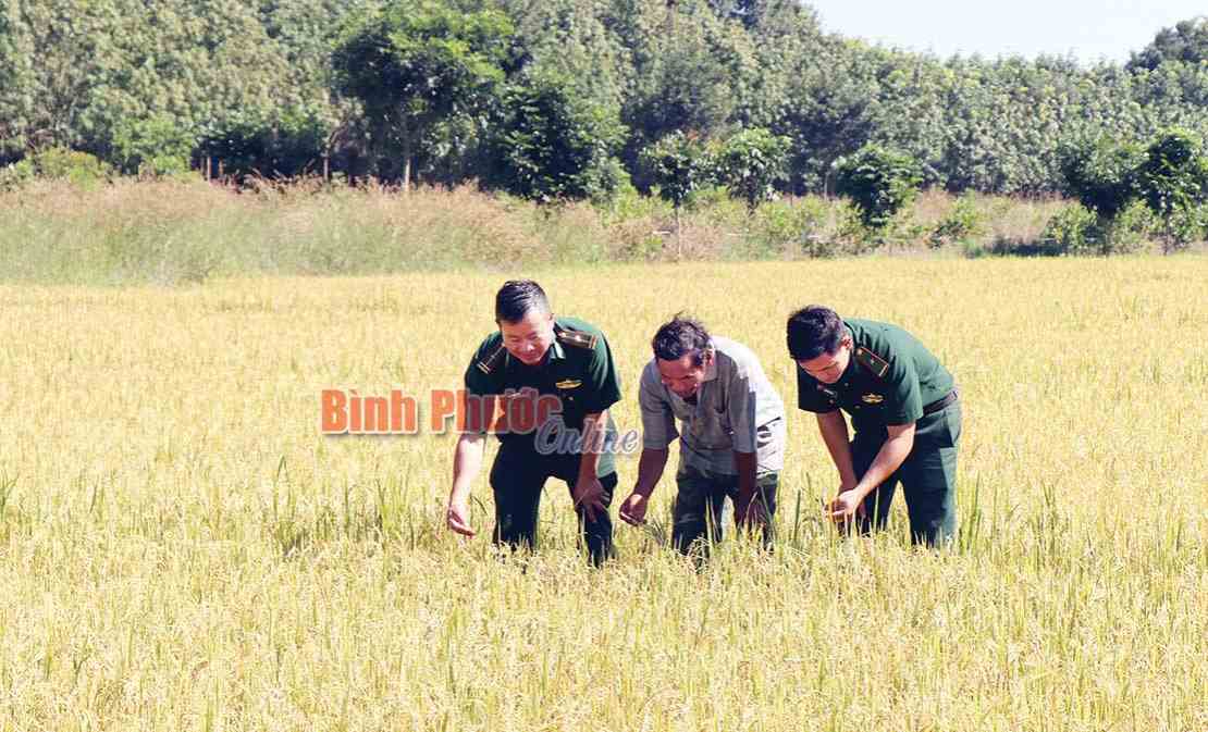 Điểm tựa của đồng b&agrave;o v&ugrave;ng bi&ecirc;n