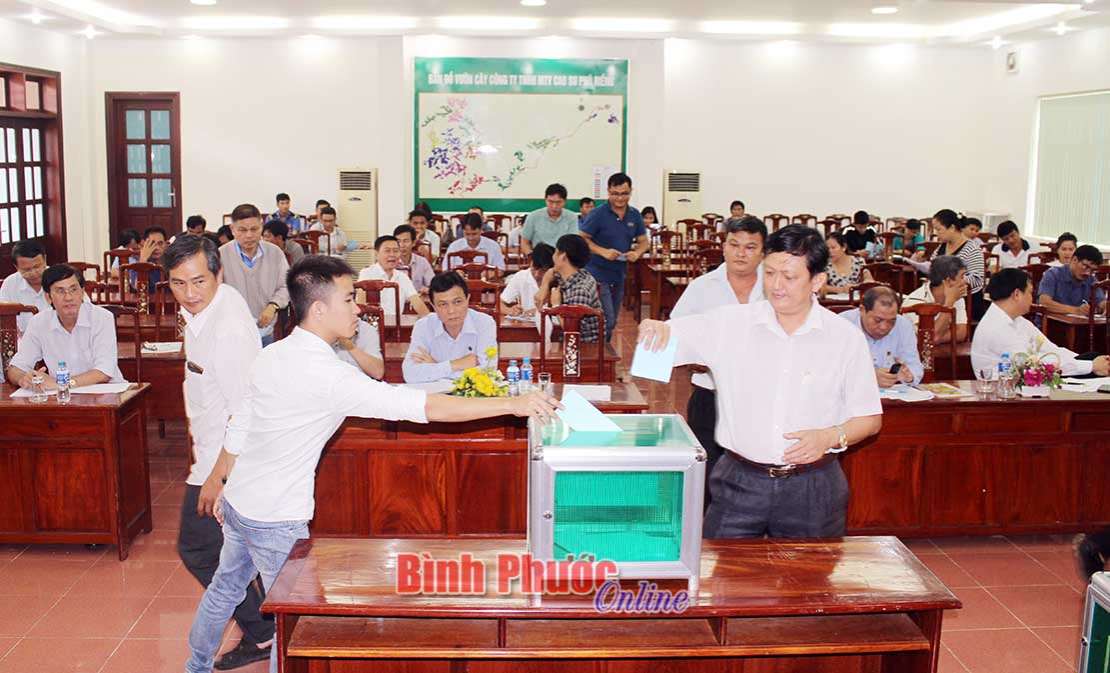 Cao su Phú Riềng thu 39,708 tỷ đồng từ đấu giá cây cao su thanh lý