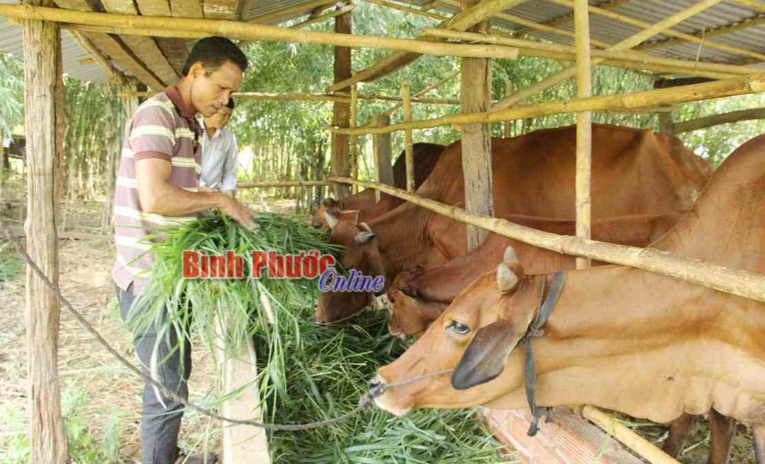 Thu nhập kh&aacute; từ đa canh, đa con