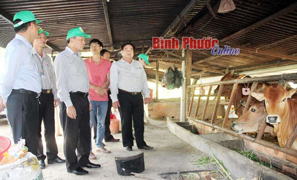 Đoàn công tác Bộ Công Thương làm việc với lãnh đạo tỉnh