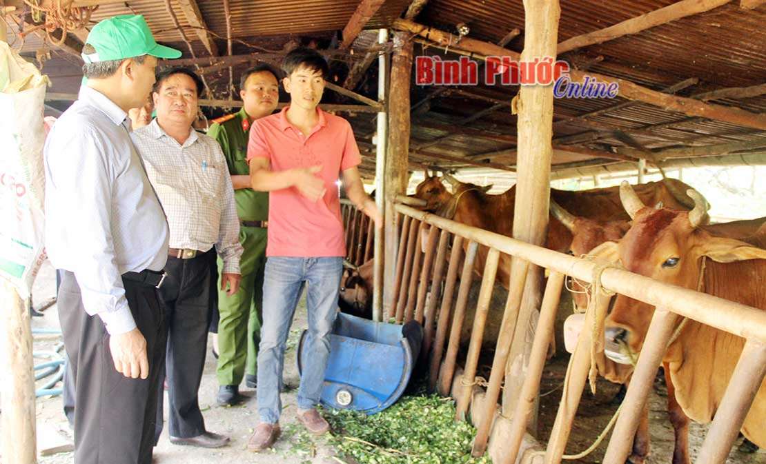 N&ocirc;ng d&acirc;n li&ecirc;n kết nu&ocirc;i b&ograve;