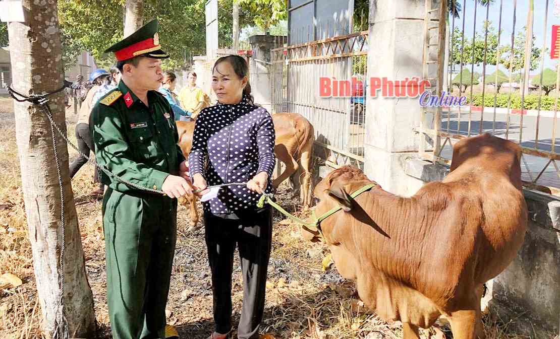 Thêm 25 con bò giống trao tặng hộ nghèo huyện Bù Đốp