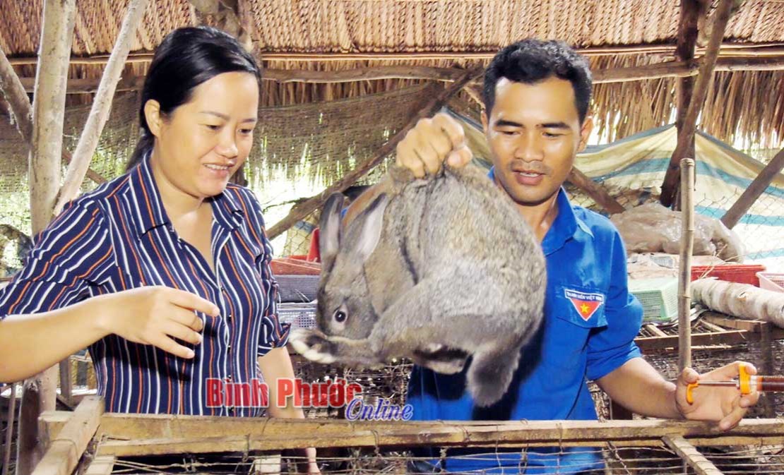 Kinh tế vững từ chăn nuôi khép kín
