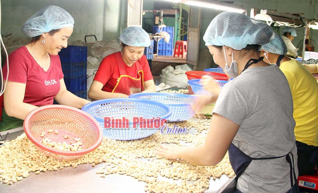 Doanh nghiệp 5 trong 1