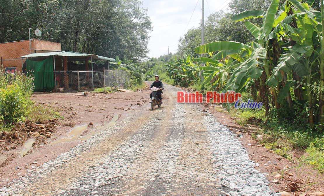 L&agrave;m đường b&ecirc; t&ocirc;ng v&agrave;o khu t&aacute;i định canh, định cư Điểu Xẻng