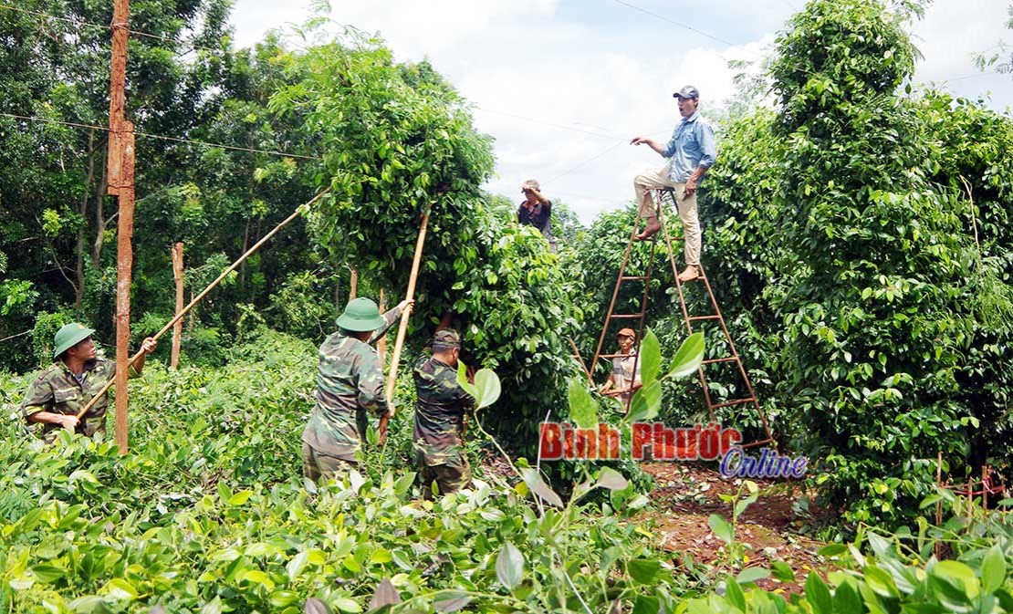 Thanh niên biên phòng hết lòng vì nhân dân