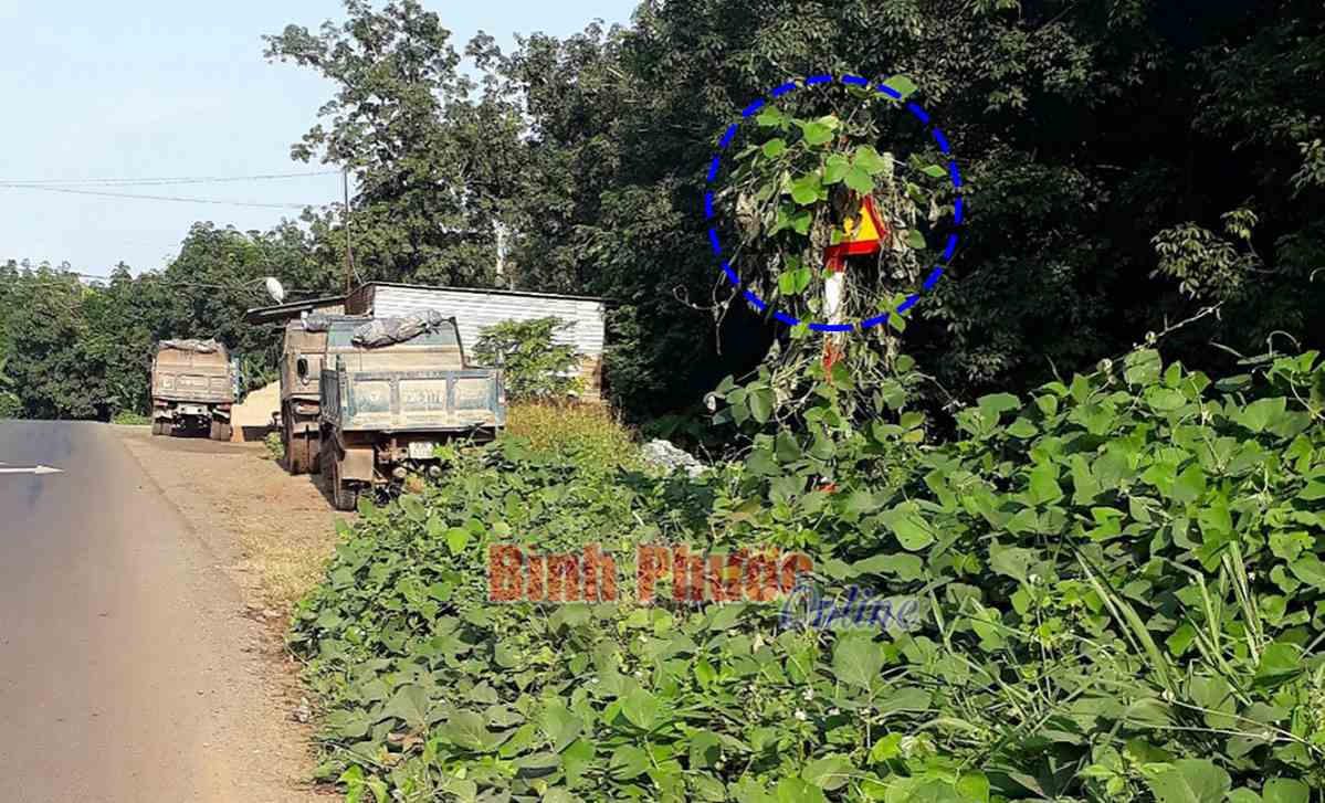 Ảnh phê bình: Biển báo “lạ”!