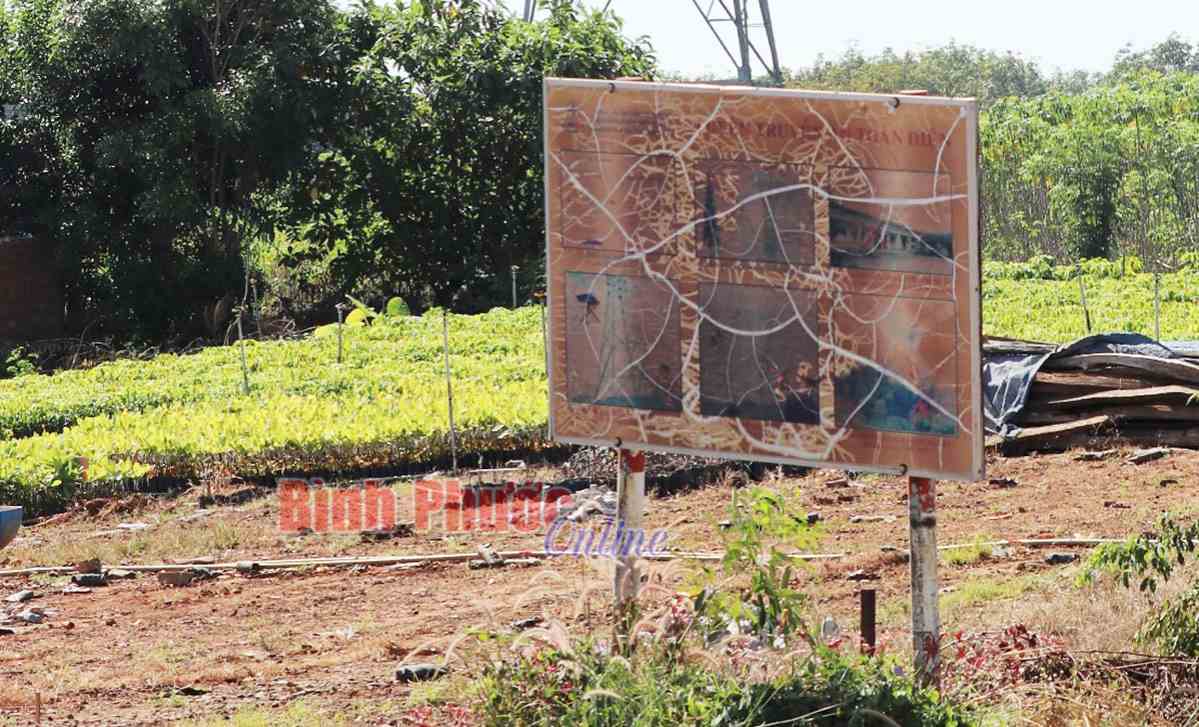 Ảnh phê bình: Pa-nô phản cảm