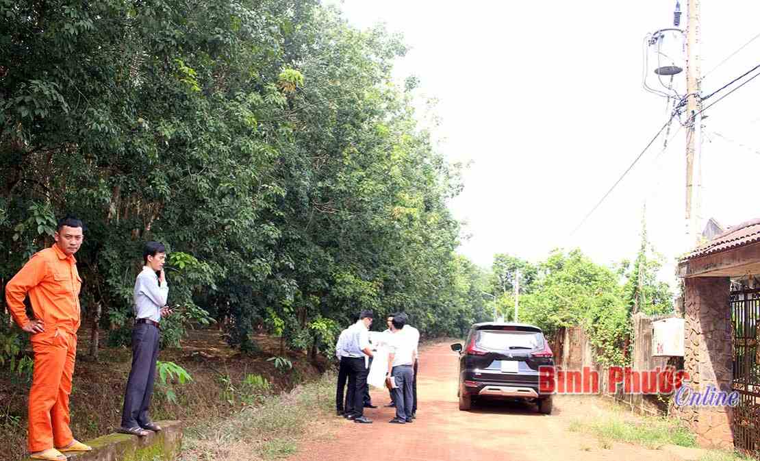 Phú Riềng: 513 hộ dân được hưởng dự án cấp điện nông thôn